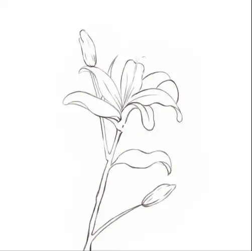 古风插画学习花朵练习