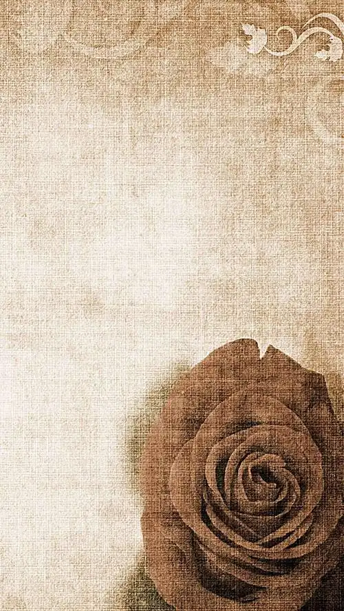 情人节高清玫瑰花复古h5背景素材素材下载_1080*1920像素jpg格式-90