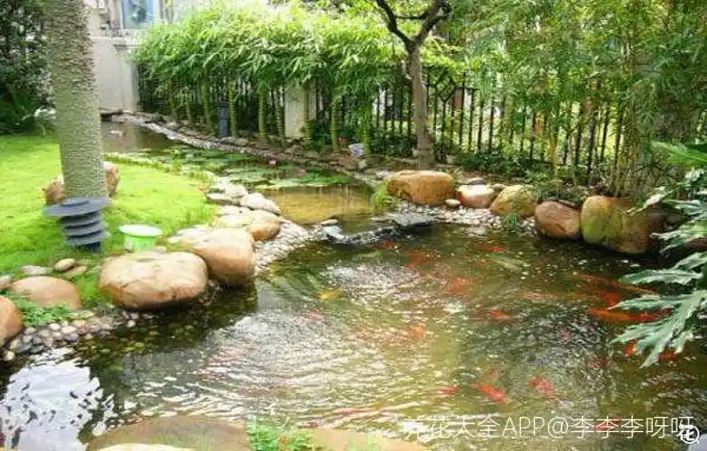 庭院里来个小池塘,赏花观鱼两不误!