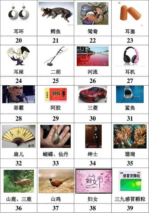 最强大脑终极记忆数字编码