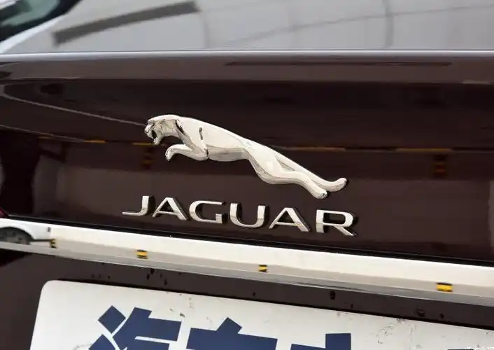 捷豹xf xj xjl xjr xe f-type原装前标志豹头中网标志车标改装