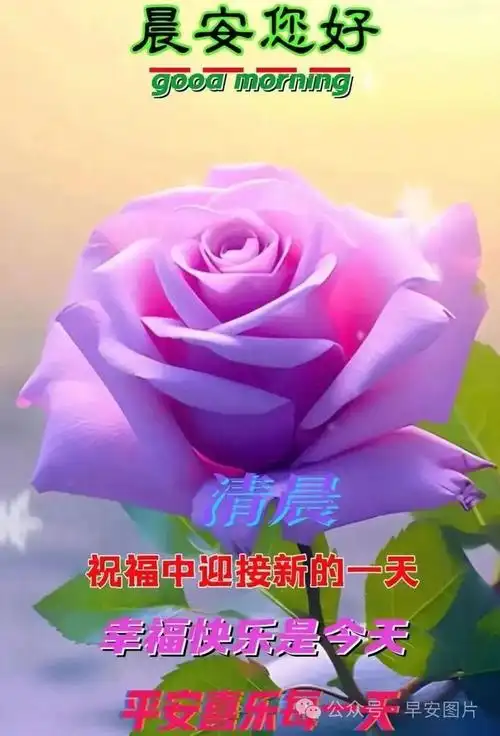 今日最新早安动态图片早安温馨祝福图片