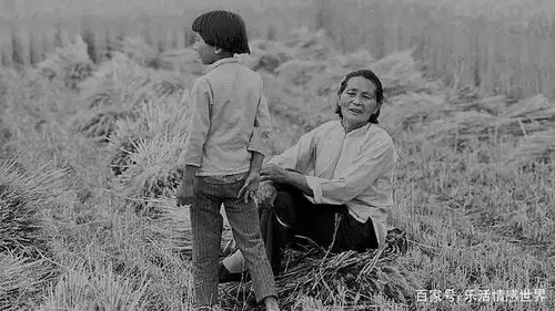 农村麦收景象老照片,满满一代人的记忆