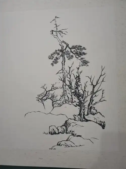 山水画写生(四)一一临摹指导②