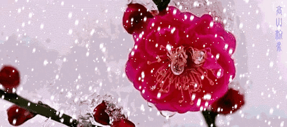 天津明天下小雪?然而还有更可怕的事