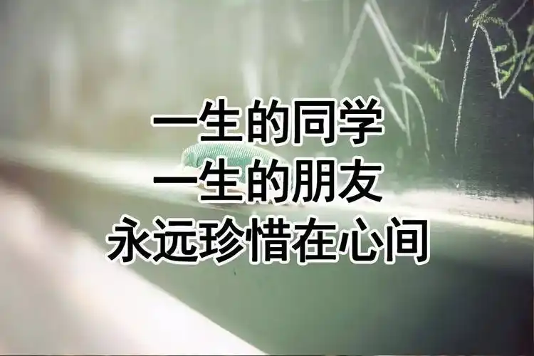 难忘同学情(年底了,送给老同学)