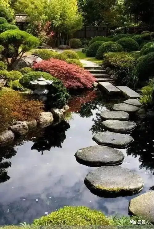 庭院里的一隅水景美了整个院子