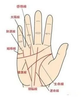 生命线分叉代表什么