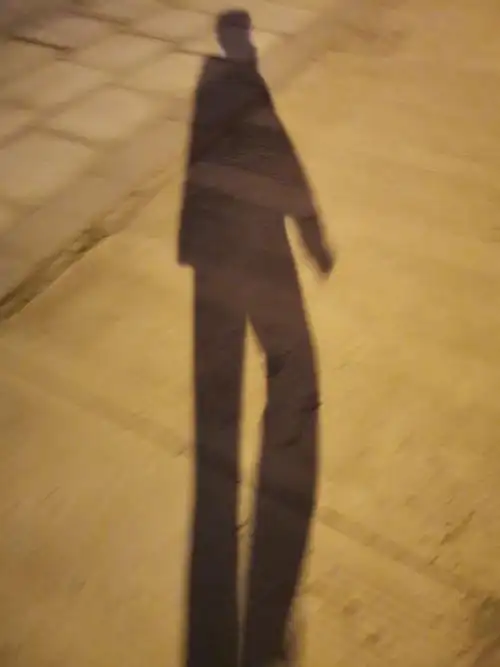 路灯下的银杏树