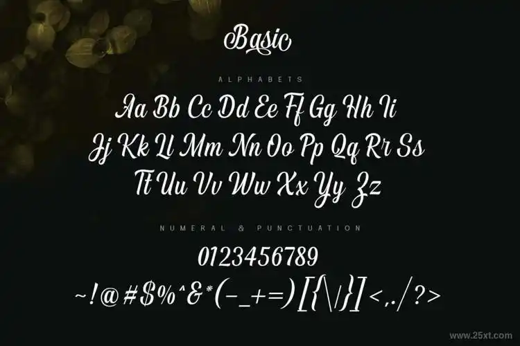 优雅迷人的英文花体字体vontgod