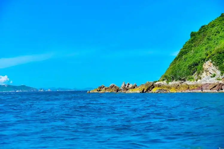 碧海蓝天共一色落霞孤樵同路归