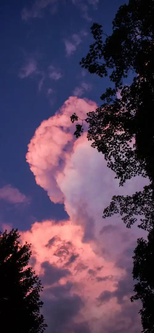 苹果11聊天背景图片壁纸锁屏