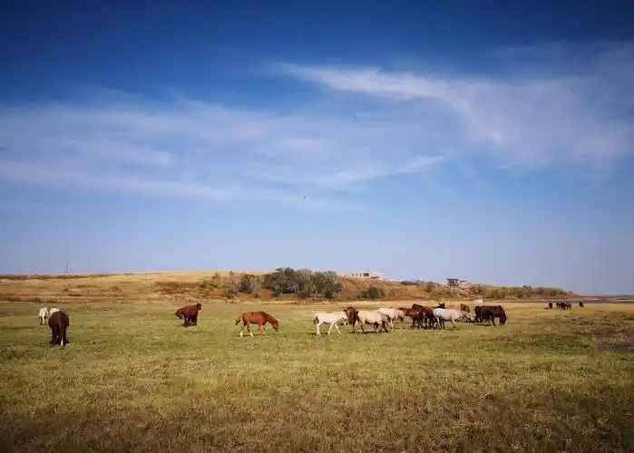 秋天去北方旅行的照片,尤其是天安门城楼的红色