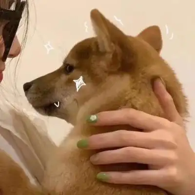 男友非人系列情侣头像高清搞笑的男朋友不是人情头图片