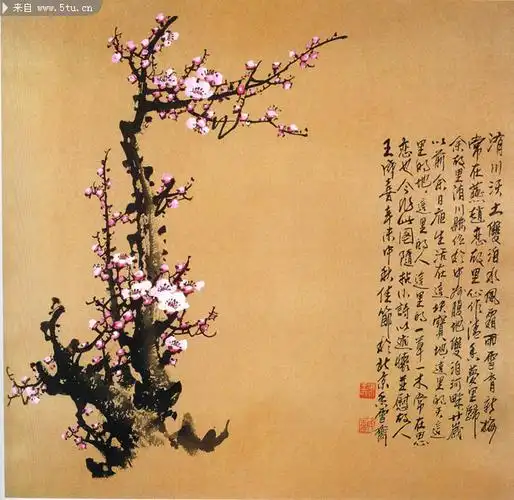 国画梅花图片水墨白梅