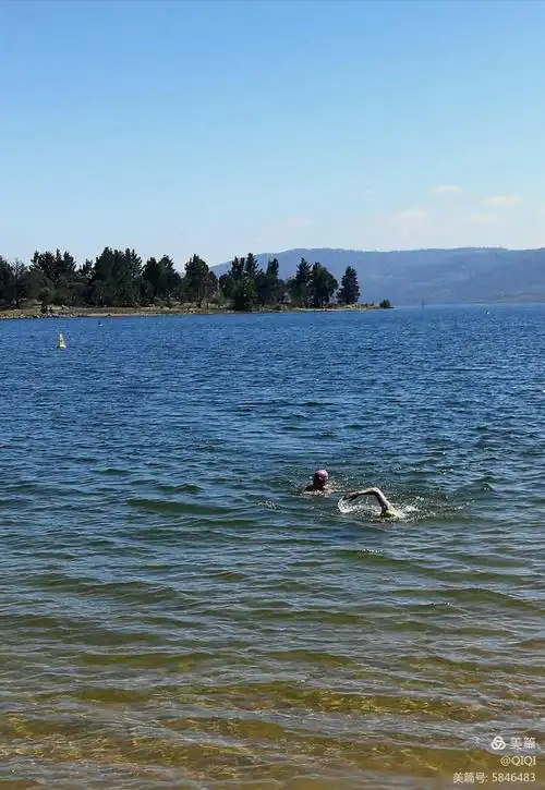 12度的夏日早晨,人们在湖中游泳.