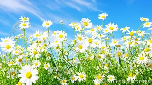 高瑞杰数字能量学手机号码测吉凶-选风水号有什么误区?