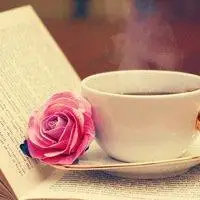 淡雅书香头像图片好看唯美的书籍唯美意境高清图片头像