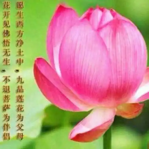 替释兴渡师父感恩分享作品-禅学问答 第9期- 全民k歌,ktv交友社区