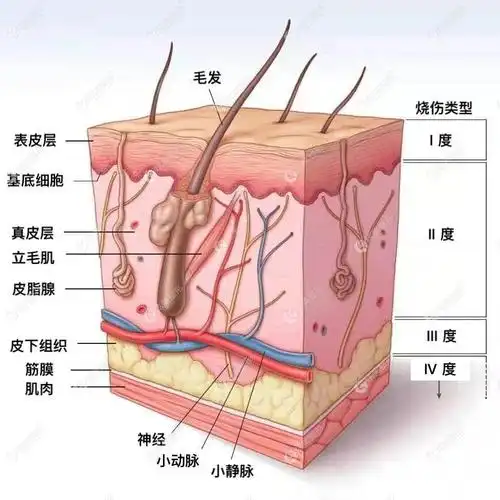 知道pst面部提升和拉皮都挺好,但pst脸部提升究竟能做几次还不清楚 -