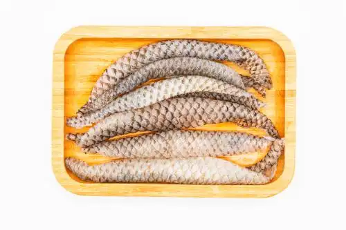 白色背景罗非鱼皮 鱼皮