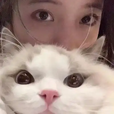 对象不是人猫咪系列情头图片 可爱小众的猫咪女生情侣头像_情侣头像