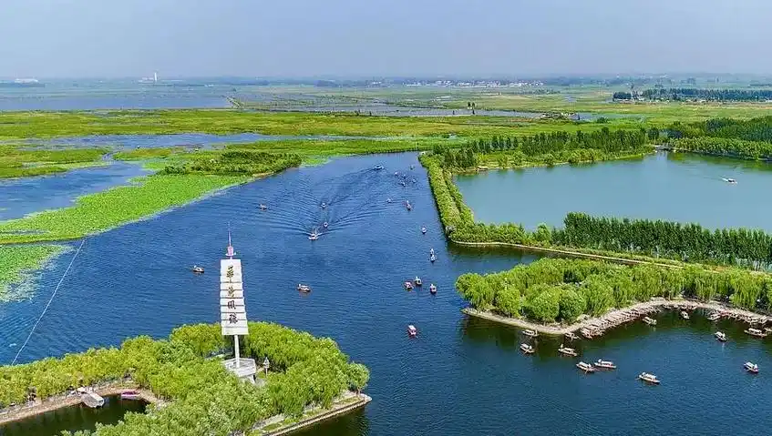 保定市白洋淀生态修复工程正紧锣密鼓推进