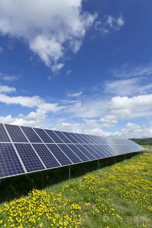 在春季开花草甸上的太阳能电站