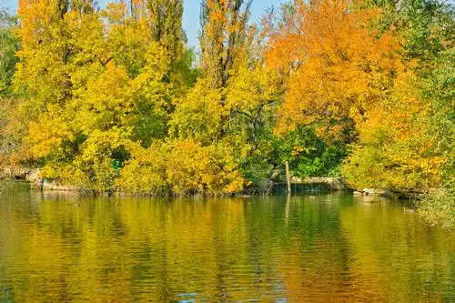 金色秋天金色大地风景如画(一)