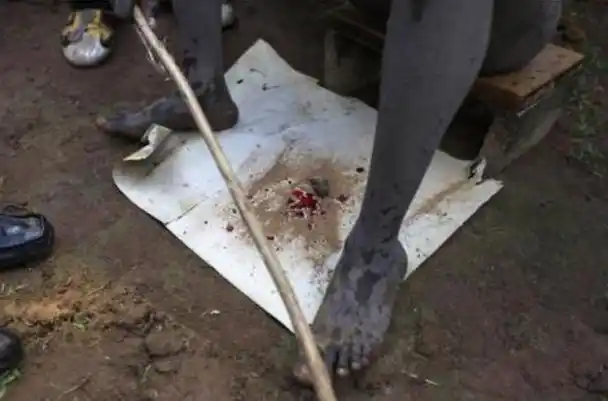 圣经中的割礼是什么意思非洲女人的割礼是什么意思