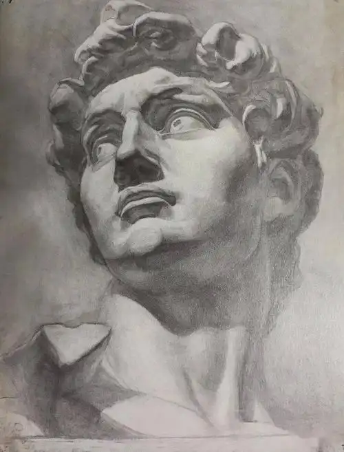 中国艺术教育中的大人物们素描大卫石膏像集合