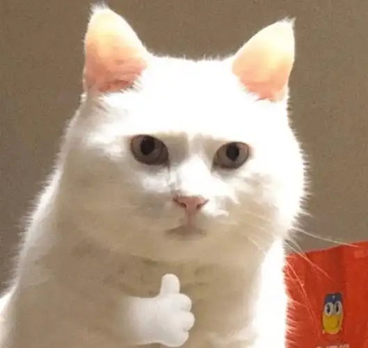 超有趣的搞怪微信头像