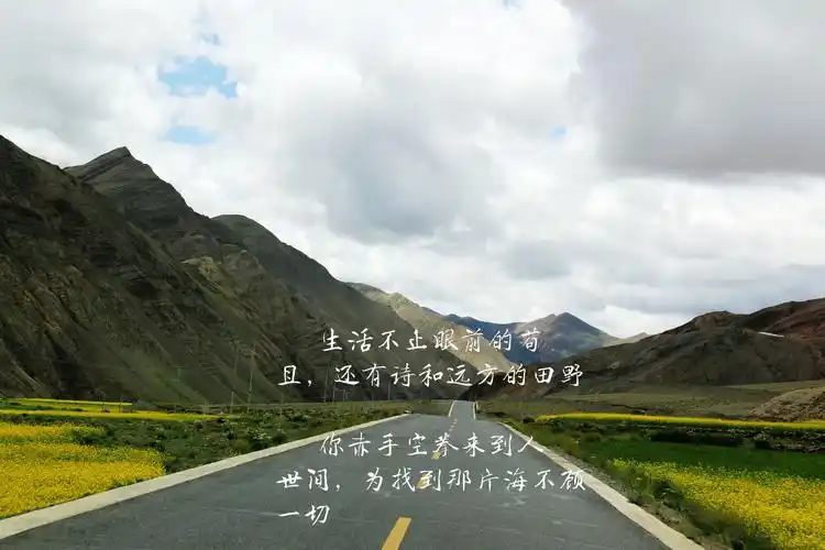 生活不止眼前的苟且