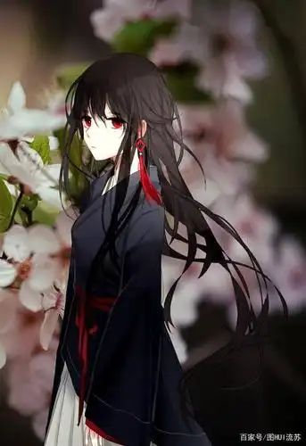 二次元壁纸 黑发少女系列 黑色是最纯粹的色彩