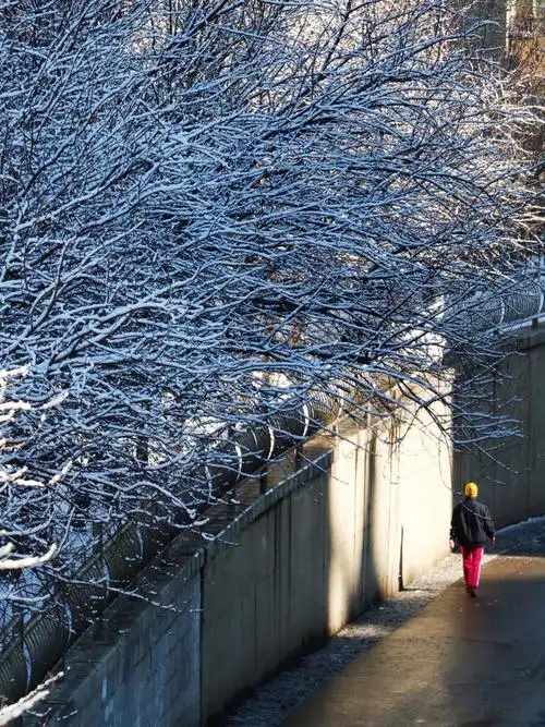 沈阳雪后也许是这个冬季最后一场雪