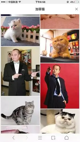 在他走红的时候,你去网上搜加菲猫的图片,每页都会夹杂着几个欧阳震华