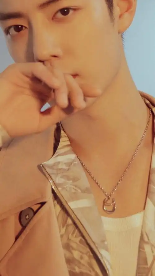 肖战我喜欢你##微博之夜加速器#天鹅颈加锁骨链真的鲨人,不动声色却