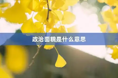 政治面貌是什么意思