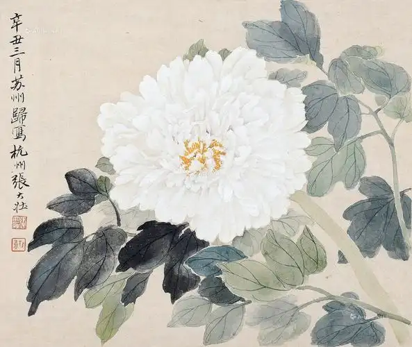 0395 白牡丹 镜心 纸本