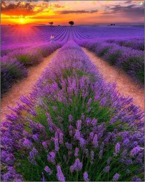 全球100个旅游胜地全世界最美的100个风景