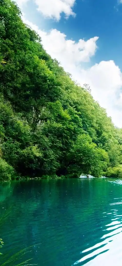 保护视力的本子,文具,书页,以及绿色系的电脑壁纸,绿色的手机屏保等等