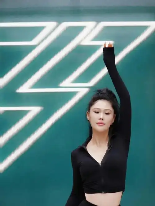 唱片|袁娅维|林志炫|华晨宇|综艺节目|音乐专辑|音乐节目|华语乐坛