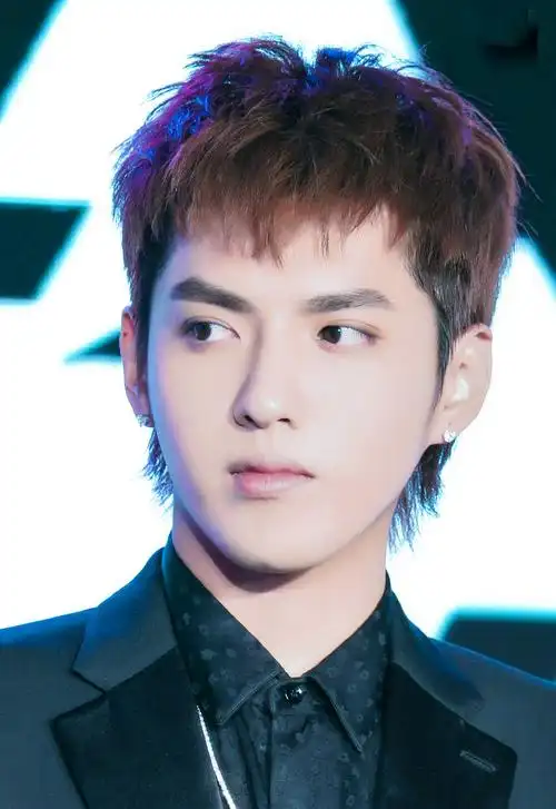 吴亦凡黑色西服帅气活动照图片[5/9]_明星_美桌网