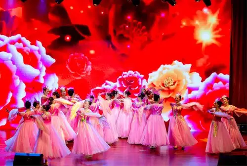 舞蹈《江山如画》参加2019上海市老年才艺展荣获最佳表演奖局舞蹈专班