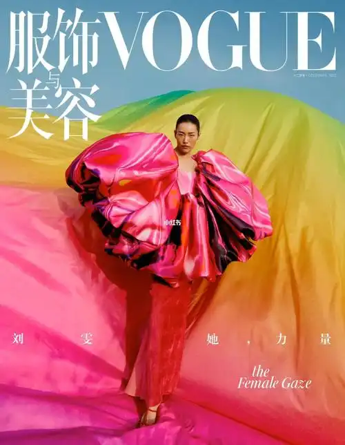 刘雯vogue服饰与美容十二月刊封面