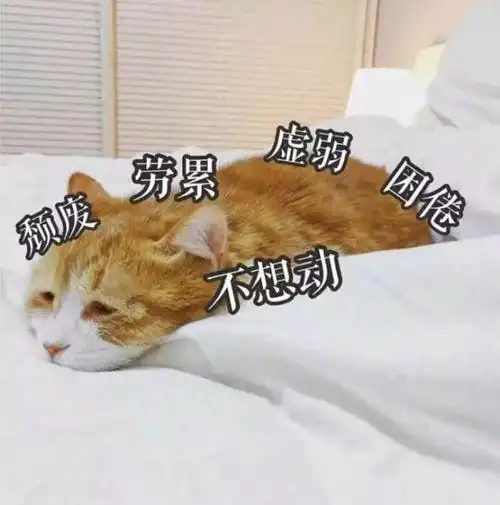 请问各位是怎么做到边工作边学习的?