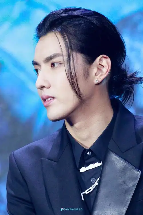 侧颜帅哥图鉴##吴亦凡微博之夜