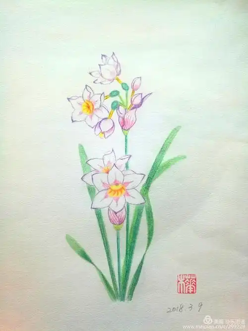 我的彩铅画