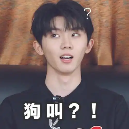 #马嘉祺表情包#