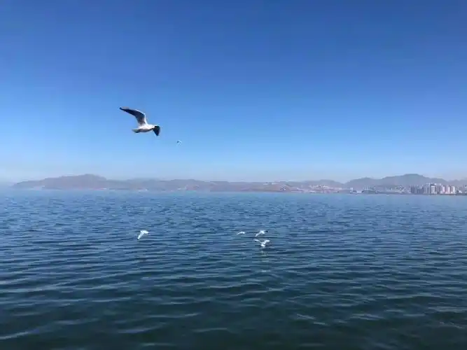 男人成熟的六个等级你属于第几等写得真好